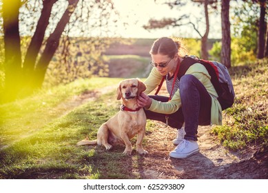 Woman Picking A Tick On Dog Fur