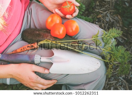 Similar – Image, Stock Photo Zucchini grows up Nature