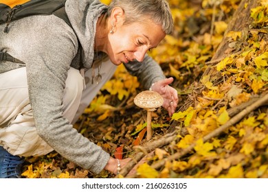 Woman Picking Wild Edible Mushrooms In The Forest