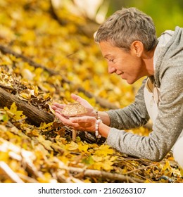 Woman Picking Wild Edible Mushrooms In The Forest