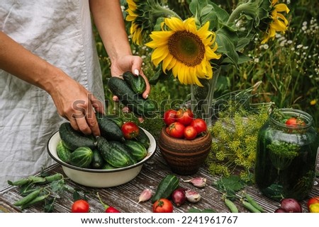a woman pickles cucumbers with tomatoes and dill. 
On the kitchen table are sunflowers and a harvest of Fresh fragrant autumn vegetables and culinary herbs