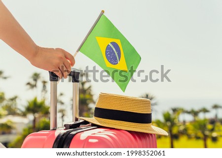 Woman with pink suitcase, hat and Brazil flag standing on passengers ladder and getting out of airplane opposite sea coastline with palm trees. 
