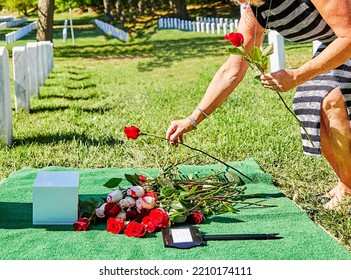 Woman Placing Roses On A Grave Site