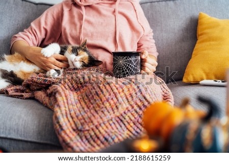 Woman in plaid drinking hot tea from Halloween theme mug, stroking relaxed multicolored cat pet on the sofa at decorated for fall holidays home. Cozy and comfortable autumn holidays. Selective focus.