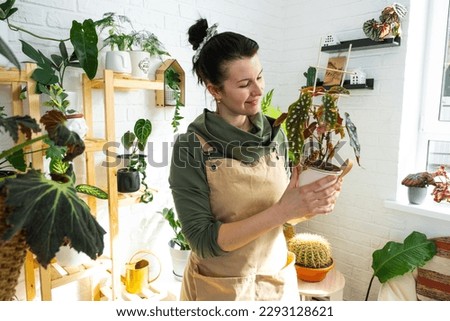 Similar – Woman in work wear in her workshop by table with handmade items