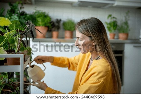 Similar – Young woman looking at cellphone