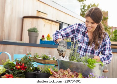 Woman Planting Container On Rooftop Garden