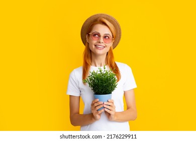 Woman planting flowers in pot. Gardening, flower planting concept. Woman or gardener planting flower pot.