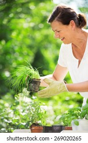 Woman Planting Herbs In Garden