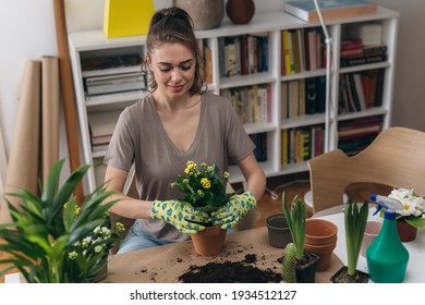 Woman Planting Houseplants At Home