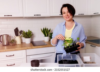 Woman Planting Plants, Basic Plan