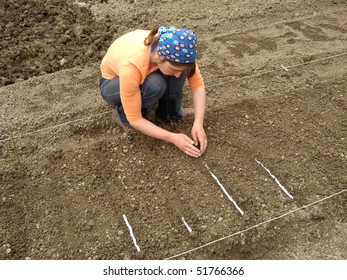 Woman Planting Seeds On Tape At The Patch