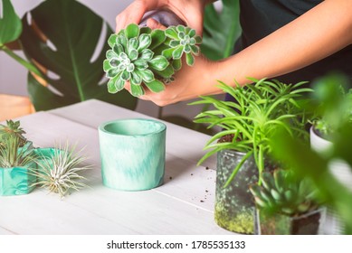 3,479 Woman mint plant Images, Stock Photos & Vectors | Shutterstock