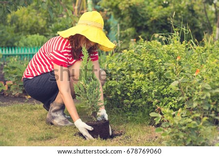 woman planting a tree on a summer day