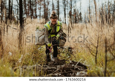 Woman planting trees in forest using shovel. Female forester planting seedlings in deforested area.