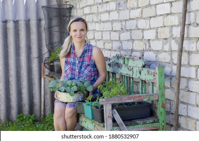 Woman Planting Vegetables And Herbs. Fresh Plants And Soil. Rustic Background. Agriculture, Horticulture,  Plant Seed Growing, Spring, Vegetable Gardening In Small Space, Vegetable Growing