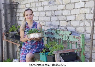 Woman Planting Vegetables And Herbs. Fresh Plants And Soil. Rustic Background. Agriculture, Horticulture,  Plant Seed Growing, Spring, Vegetable Gardening In Small Space, Vegetable Growing