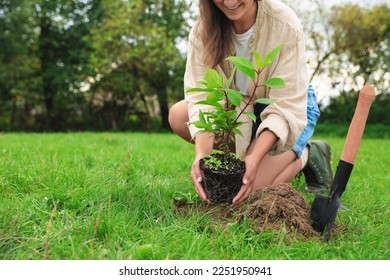 Woman planting young green tree in garden  closeup  Space for text