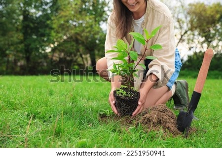 Woman planting young green tree in garden, closeup. Space for text