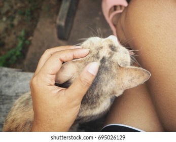 Woman playing cat - Shutterstock ID 695026129