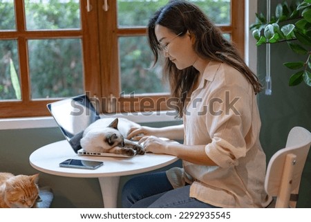 Woman playing with cat while working at home.
