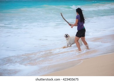 Woman Playing With Dog Fetching Stick At Beach