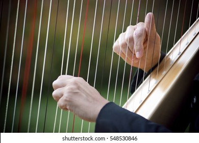 Woman Playing Harp