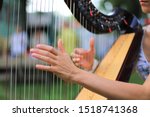 Woman playing the harp close up. Fingers playing the strings of a harp.