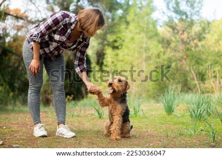Woman playing with her dog during the walk in forest. Welsh terrier dog enjoying the game playing with a stick