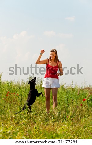 Woman is playing with her dog on a meadow in summer