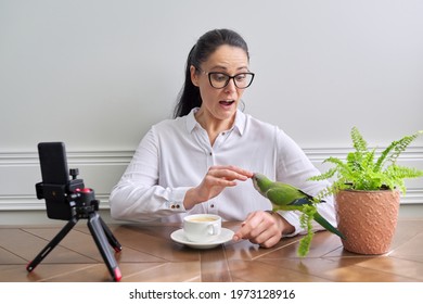 Woman Playing With Her Pet Parrot At Home, Bird Biting Woman's Finger