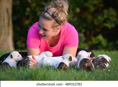 Woman Playing With Litter Of English Bulldog Puppies Outside