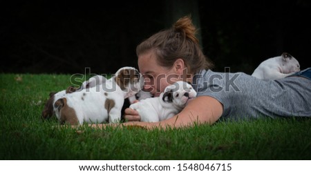 woman playing with a litter of English bulldog puppies outside in the grass in summer