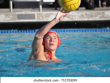 Woman Playing Water Polo