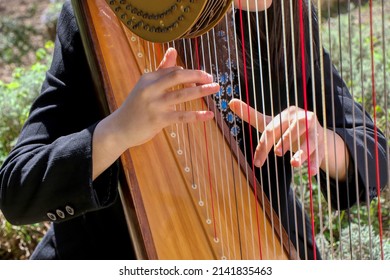 Woman plays a harp. Fingers of her hands pluck the strings