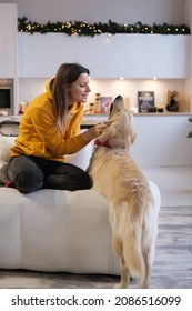 A Woman Plays With Her Dog At Home. Golden Retriever