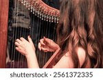 Woman plays the strings of a harp, a harper guitarist performs at a concert in a nightclub bar