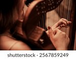 Woman plays the strings of a harp, a harper guitarist performs at a concert in a nightclub bar