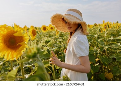 woman portrait in a straw hat in a white dress a field of sunflowers agriculture landscape