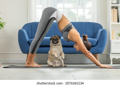 woman practice yoga Downward Facing dog or yoga Adho Mukha Svanasana pose to meditation and kissing her dog pug breed enjoy and relax with yoga in bedroom,Recreation with Dog Concept - Shutterstock ID 2076365134