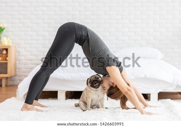 女性が下向きのヨガを練習する犬またはヨガadho Mukha Svanasanaは瞑想に向けてポーズを取り 彼女の犬のパグにキスをし 寝室 でヨガを楽しみ リラックスしてリラックスする 犬のコンセプトを使う の写真素材 今すぐ編集