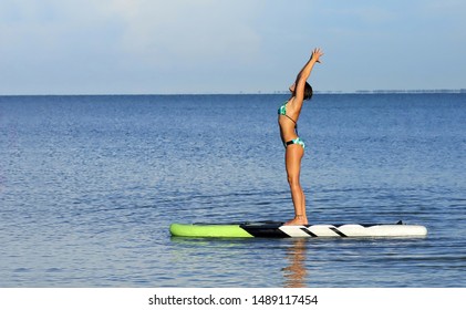 Woman practices yoga on a stand up paddleboard in the Gulf of Mexico. 