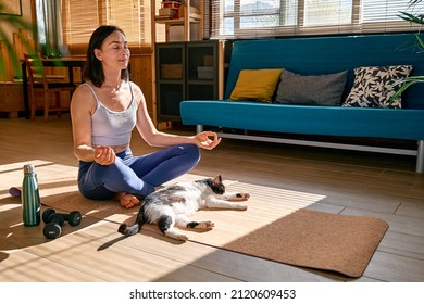 Woman practicing yoga and meditation at home sitting on yoga mat in lotus pose with her cat, stretching muscles of legs. Mindful meditation concept. Wellbeing.