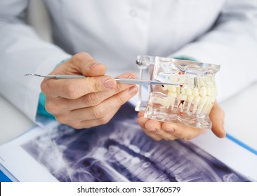  Praktikerin, die Zahnmodell und Zahnröntgen studiert. Nahaufnahme der Hände des weiblichen Zahnarztes mit Werkzeugen. 