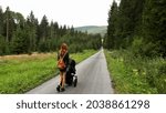 A woman with a pram on the road. Location: Europe, Czechia, near Horni plana