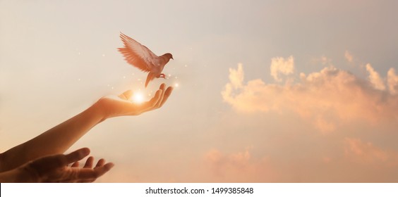 Woman praying and free bird enjoying nature on sunset background, hope concept  - Shutterstock ID 1499385848