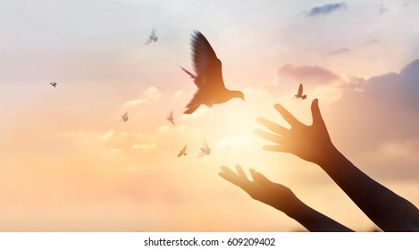 Woman praying and free bird enjoying nature on sunset background, hope concept  - Shutterstock ID 609209402