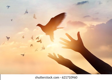 Woman praying and free bird enjoying nature on sunset background, hope concept  - Shutterstock ID 621710960