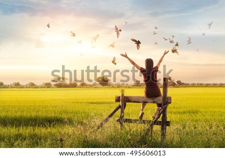 Woman praying and free bird enjoying nature on sunset background, hope concept 