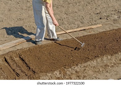 A Woman Prepares A Bed For Sowing Carrots On A Sunny Spring Day